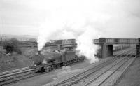 A hard working Q6 0-8-0 trundles north towards Gateshead at Lamesley with a coal train on 24 October 1964.<br><br>[Robin Barbour Collection (Courtesy Bruce McCartney) 24/10/1964]