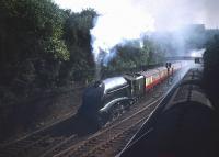 One of 64B's finest, A4 Pacific no 60012 <I>Commonwealth of Australia</I>, casts a shadow over Princes Street Gardens shortly after leaving The Mound tunnel in July 1955 en route to Aberdeen.<br><br>[A Snapper (Courtesy Bruce McCartney) 27/07/1955]