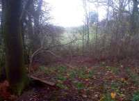 A little known Warwickshire bye-law says that every footpath on a disused railway, this one leading to Baddesley Colliery (North side) from the WCML, must have a bit of bent rail to mark the end of the path. The colliery used a Beyer Garratt, now preserved at Bressingham [see image 36110], to get up the 1 in 47 gradients on this short branch, which closed in 1974. Apparently, much of the coal won here was burned in the brickworks at nearby Polesworth.<br><br>[Ken Strachan 24/11/2009]