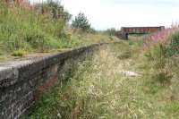 Scene at the former Westcraigs station at the end of August looking west along the remaining platform towards bridge no 28. This area is currently (November/December 2009) seeing considerable activity with the bridge squad having recently moved on from the  B8084 road bridge at Armadale (road now reopened) to the B718 rail bridge just behind the camera (road now closed).<br><br>[John Furnevel 28/08/2009]