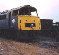 D1004 <I>Western Crusader</I>, an early Western withdrawal, looking very woebegone in Swindon Works yard awaiting scrapping. Even in this condition the fine looks of the Class 52 are evident, which leads me to wonder (and its just a personal opinion) how, after 47 years of <I>'progress',</I> we produced the Class 70? <br>
Railscot note: Caption amended thanks to additional information from Dave Blake to identify the locomotive correctly. <br><br>[Mark Bartlett 16/03/1974]