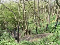 The scene beyond the wooden gate at the abandoned entrance to Filey Holiday Camp station in October 2009, with stone steps and partially surviving metal handrails leading down to the extensive former concourse. As can be seen here, over the 32 years since closure much of this area has gradually reverted to nature. <br>
<br><br>[John Furnevel 11/10/2009]