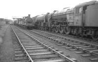 Looking west along the locomotive <I>holding sidings</I> at Bathgate in January 1964. Bathgate shed stands in the left background while nearest the camera is A2 Pacific no 60537 <I>Bachelor's Button</I> with 60534 <I>Irish Elegance</I> next in line. Both locomotives had been withdrawn from St Margarets at the end of 1962 after just over 14 years service.<br><br>[Robin Barbour Collection (Courtesy Bruce McCartney) 03/01/1964]