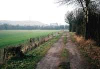 Not as it seems, part 2 - at first glance, one would not appear to be near a major road junction, nor to any railways past or present. But the suspiciously flat-topped hill in the left background is the 'landscaped' waste heaps of Birch Coppice colliery, and the frame of a container lift in the freight terminal is visible to the right. Out of sight are the M42 (left) and the A5 (left to right) - and finally, the 'farm road' on which we are walking is the former Birch Coppice #4 pit line (see images 25983 and 25985).<br><br>[Ken Strachan 18/03/2009]