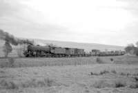 St Margarets B1 4-6-0 no 61344 standing at Steele Road with a long northbound freight in the 1960s. The rear of the train is in the station and the guard appears to be on the platform, presumably following a visit to the signal box. <br><br>[Robin Barbour Collection (Courtesy Bruce McCartney) //]