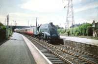 60004 <I>William Whitelaw</I> with the up <I>Talisman</I> passing through Joppa on 6 July 1959.<br>
<br><br>[A Snapper (Courtesy Bruce McCartney) 06/07/1959]