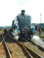 4498 <I>Sir Nigel Gresley</I> photographed in the goods yard near Bradford Forster Square on 7 July 1981 prior to working the return <I>North Yorkshireman</I> special.<br><br>[David Pesterfield 07/07/1981]