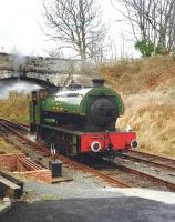 No 19 runs round at Birkhill on 15 April 1995. The trip to Bo'ness and thence Birkhill was an event in the Edinburgh International Science Festival.<br><br>[David Panton 15/04/1995]