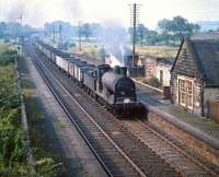 57615 with a northbound coal train passing Lochside in August 1959.<br><br>[A Snapper (Courtesy Bruce McCartney) 20/08/1959]