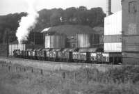 The works 'pug' shunts at the British Aluminium Company plant, Burntisland, in 1969. The site is now occupied by a 'luxury' housing estate.<br>
<br><br>[David Spaven //1969]