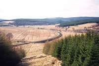 Scene on the Border Counties line following closure between Riccarton Junction and Bellingham. View towards the closed Plashetts station with the link from <I>Slater's Incline</I> coming in from the right. The incline was used to bring coal down from the workings in the hills above Plashetts to sidings alongside the station. Beyond the trees to the right were the coal screens and a brickworks, with much of the output from both being supplied to customers in either Carlisle or Hawick. The landscape has changed completely since the photograph was taken, with much of the area now submerged beneath Kielder reservoir. Part of Slater's Incline is now used by the Kielder Ferry as a landing stage on the east side of the reservoir. [See image 17579]<br>
<br><br>[Robin Barbour Collection (Courtesy Bruce McCartney) //]