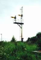 Photograph taken at Camelon in June 1997 showing the unusual 'distants-only' junction signal for Carmuirs East.<br><br>[David Panton /06/1997]