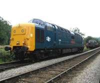 Deltic 55019 <I>Royal Highland Fusilier</I> photographed at Grosmont in July 2007.<br><br>[Bruce McCartney 12/07/2007]