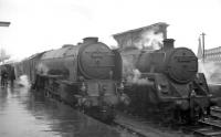 Wet platforms at the north end of Carlisle station in August 1963 with Leeds based A1 Pacific no 60131 <I>Osprey</I> having brought in the 6.29am Birmingham - Gourock standing alongside Polmadie standard class 5 4-6-0 no 73060.<br><br>[K A Gray 10/08/1963]