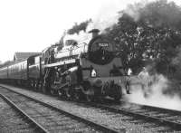 75029 <I>The Green Knight</I> in action on the East Somerset Railway on 27 September 1986, shortly after being returned to service following a major overhaul.<br><br>[Peter Todd 27/09/1986]