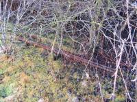 Surviving rails amongst the overgrown top of the limekilns on the Charlestown quarry tramway in January 2010.<br>
<br><br>[Mark Poustie 24/01/2010]