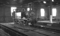 Class A1X 0-6-0T no 32662 stands inside Newhaven shed (sub to 75A Brighton), thought to have been photographed on 14 August 1961. The 4-track corrugated iron structure was officially closed by BR in 1963, the same year the <I>Terrier</I> was withdrawn from Eastleigh shed... before moving to Ayrshire! [See image 45850]<br><br>[K A Gray 14/08/1961]