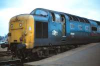 Deltic 55011 <I>The Royal Northumberland Fusiliers</I> stands at Peterborough on 21 April 1979.<br>
<br><br>[Peter Todd 21/04/1979]