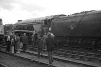 Ex LNER A4 no 60009 'Union of South Africa' being admired at the Inverness Railfair on 9 June 1973. On the extreme left you can just see part of AC electric loco no 84005 also on display.<br><br>[John McIntyre 09/06/1973]