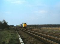<I>What's that noise?</I>...  Deltic 55003 <I>Meld</I> southbound, rapidly approaching Holme, south of Peterborough, in April 1979 running at approximately 105mph.<br><br>[Peter Todd 21/04/1979]