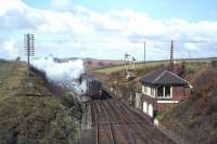 A Stranraer-bound train heads west away from Newton Stewart in April 1965, just a few months before closure.<br><br>[Frank Spaven Collection (Courtesy David Spaven) /04/1965]