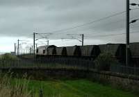 A southbound coal train passing Marshall Meadows, just north of Berwick on Tweed, on an August evening in 2004.<br><br>[Colin Miller 25/08/2004]