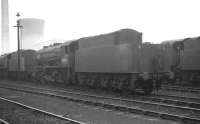 WD Austerity 2-8-0 no 90116 stands amongst a number of condemned colleagues in the holding area to the south of Wakefield shed in the mid sixties. The locomotive was in transit from its final home shed at West Hartlepool (51C), to Drapers scrapyard, Hull, where it was eventually cut up in October of 1967. Both Wakefield MPD (56C) and the power station in the left background have since been demolished.<br><br>[Robin Barbour Collection (Courtesy Bruce McCartney) //]