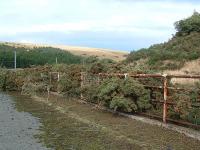 This bridge used to cross the ECML at the east end of Penmanshiel Tunnel which passed through the hillside to the right. Catenary can be seen above the diverted route to the left. View west in September 2003.<br><br>[Ewan Crawford 21/09/2003]