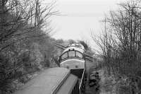 37240 at Braeside Junction alongside the Firth of Forth on 13 January 1993 with a freight for RNAD Crombie.<br><br>[Bill Roberton 13/01/1993]