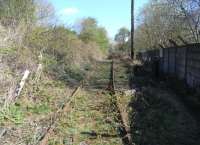 As can be seen from a passing train the large scrapyard at <br>
Inverkeithing harbour is still in business but its rail connection is long gone and a footpath now crosses the severed rails, seen here on 30 January. View is north towards the former connection with the <br>
network on the Rosyth Dockyard branch, while behind the camera the track ran through a gate before fanning out within the scrapyard. [See image 18929 for a view the other way in the days when the yard was rail-served.] <br>
<br><br>[David Panton 30/01/2010]