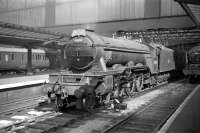 A3 Pacific no 60095 <I>Flamingo</I>, displaying the famous headboard, waits on the centre road at Carlisle on Saturday 9 July 1960 to take over the down <I>Waverley</I>. The train has just arrived at platform 3 (right) behind a Royal Scot, which has brought it over the Settle & Carlisle line on the leg from Leeds.<br><br>[Robin Barbour Collection (Courtesy Bruce McCartney) 09/07/1960]