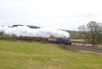 60019 <I>Bittern</I> passing Crofton on the Berks & Hants line with a special on 13 February 2010. <br><br>[Peter Todd 13/02/2010]