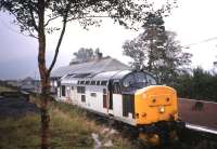 Despite the Transrail livery on <I>Loch Long</I>, this is a Freightliner service pausing at Bridge of Orchy en route to Fort William in 1996. The flatbed containers will be loaded with aluminium at the Alcan smelter in Fort William and with paper at the Arjo Wiggins paper mill at Corpach - both loaded flows then heading for Cardiff via Coatbridge. The paper traffic subsequently switched to EWS, thereby undermining the economics of the Freightliner train, which was then withdrawn and aluminium traffic instead conveyed by lorry between Fort William and Coatbridge. Who says you can't have too much rail competition!? Fortunately the aluminium is now back on rail with DB Schenker; and although the paper mill has closed, its site has been taken over by the sawmillers BSW, and sawn timber is likely to move south by rail once the mill is ready for business. <br>
<br><br>[David Spaven //1996]