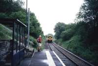 A rare passenger indeed (Bill Jamieson) watches a Swansea-Shrewsbury train formed by a Class 150 unit disappear away from the tiny and remote Sugar Loaf halt on the Central Wales Line in the summer of 2008.<br><br>[David Spaven //2008]