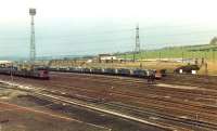 A mixed line up of diesel locomotives stored at the east end of Healey Mills yard in March 1983. From left to right are  46055, 46050, D8233, 24142, 25214, 40025, 40087, 40094, 40187 and 08311.<br><br>[David Pesterfield 12/03/1983]