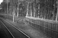 An early 1967 view of the remains of what must have been one of the most unusual private sidings anywhere on the network. Taken from an Inverness-bound train, this shows the then recently disconnected Murthly Asylum siding - which had presumably been used for laundry and other supplies.<br>
<br><br>[David Spaven //1967]