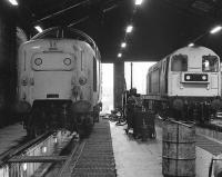 Deltic 55021 <i>Argyll and Sutherland Highlander</i> standing alongside 20220 inside Haymarket shed on 30 December 1981.<br>
<br><br>[Bill Roberton 30/12/1981]