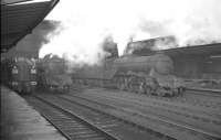 Scene at the south end of Carlisle station in February 1961. On the left is an unidentified EE Type 4 waiting at platform 3 with a southbound WCML service. Alongside is A3 no 60070 <I>Gladiateur</I> which has just brought in the 9.20 Glasgow St Enoch - St Pancras <I>Thames - Clyde Express</I>, while another A3, no 60080 <I>Dick Turpin</I>, is about to take the train forward.<br><br>[K A Gray 10/02/1961]