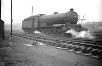 Q7 0-8-0 no 63473 standing in the yard alongside 52H Tyne Dock shed in March 1960. These powerful locomotives were eventually displaced on the Tyne Dock - Consett workings in the late 1950s following arrival of new BR Standard class 9F 2-10-0s. One example - no 63460 - has been preserved and is on display inside North Road Museum, Darlington [see image 18893]. <br>
<br><br>[Robin Barbour Collection (Courtesy Bruce McCartney) 26/03/1960]