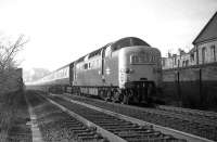 The 10.30 Aberdeen - Kings Cross (14.00 ex-Waverley) photographed near St Margarets on 28 February 1970. Deltic 9003 <I>Meld</I>, would have taken over the train at Waveley, most probably from a Haymarket Brush Type 4.<br><br>[Bill Jamieson 28/02/1970]