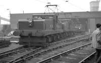 Electric locomotives standing in the yard at Westoe, South Shields, with the NCB shed and workshops in the background. The large complex at Westoe was abandoned following the closure of Westoe Colliery in 1993.<br><br>[K A Gray //1959]