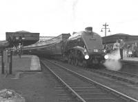 60019 <I>Bittern</I> waits to leave Aberdeen on 3 September 1966 with the last BR scheduled A4 Buchanan Street - Aberdeen return run. [See image 27834]<br><br>[Colin Miller 03/09/1966]