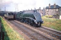 An admiring glance from the guard of a passing freight towards 60031 <I>Golden Plover</I> as the A4 coasts through Joppa station at the head of an up ECML service in July 1959. Photographed from the former pedestrian ramp near the footbridge on South Morton Street giving access to the westbound platform.<br><br>[A Snapper (Courtesy Bruce McCartney) 25/07/1959]