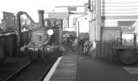 LBSCR <I>Terrier</I> 0-6-0T no 32650 takes on water at the end of the bay platform at Havant in October 1962. This platform was used by trains serving the Hayling Island branch.<br><br>[K A Gray 30/10/1962]