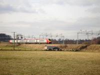 Great expectations amongst the sheep flock, following the arrival of a farm worker, just as a 4 car Virgin Voyager heads north along the WCML from Rugeley. <br><br>[David Pesterfield 02/03/2010]