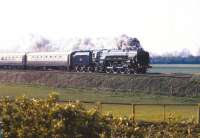 71000 <I>Duke of Gloucester</I> northbound at Kings Sutton on 7 April 1990, one of its firstmainline trips following restoration.<br>
<br><br>[Peter Todd 07/04/1990]