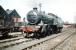 Gresley K4 no 61993 <I>Loch Long</I> alongside Haymarket shed in July 1959.<br><br>[A Snapper (Courtesy Bruce McCartney) 04/07/1959]