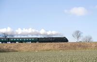 60019 <I>Bittern</I> in action on the Mid Hants Railway on 6 March 2010.<br><br>[Peter Todd 06/03/2010]