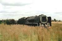 Out to grass. Given the low cost of land in SA, steam engines used to be turned on curved triangles, rather than turntables. As steam fell out of use, the triangles became scrap lines. At Krugersdorp depot near Johannesburg, in March 1991 an unidentified (no plate) class 15F 4-8-2 and a C-MAM Garratt 4-8-2-2-8-4 no 4061 soak up the veldt sun while awaiting the cutter's torch.<br><br>[John Morgan Collection (Courtesy Ken Strachan) 08/03/1991]