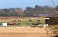 Passengers on a northbound train get a close up view of the runners in a point-to-point race at Ratcheugh Farm, on the outskirts of Alnwick, on 7 March 2010.<br><br>[John Steven 07/03/2010]